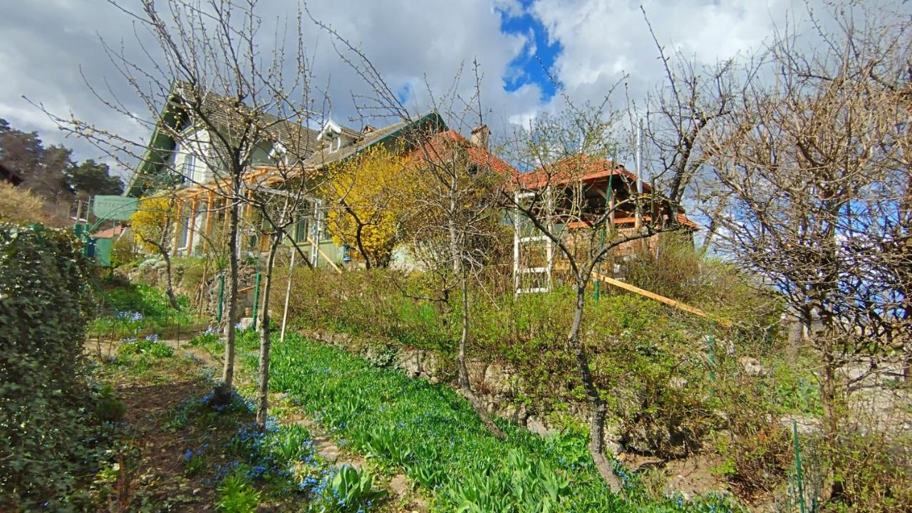 Villa Kuschmann Brasov Exterior photo