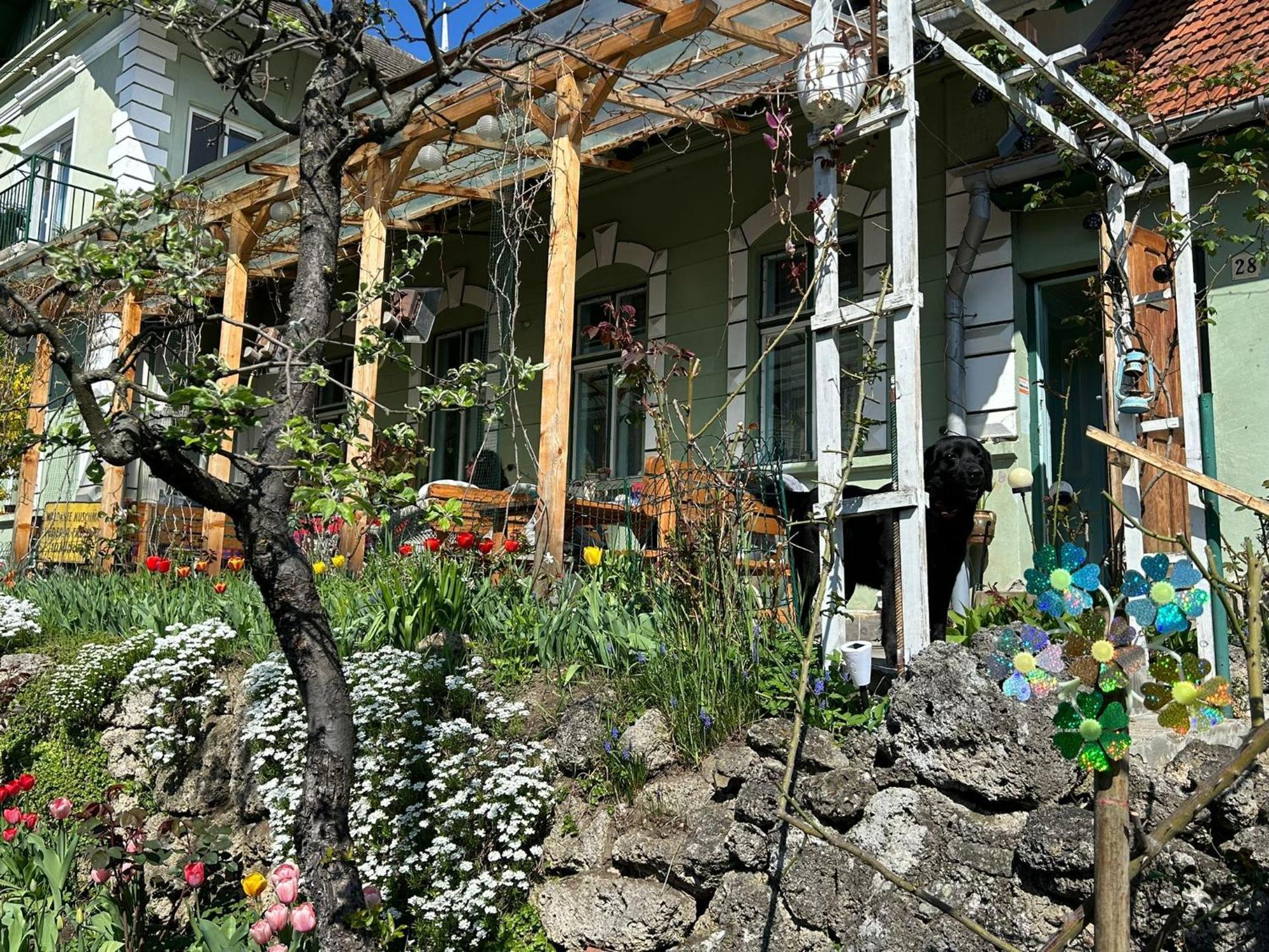 Villa Kuschmann Brasov Exterior photo